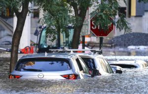 survive a car flood